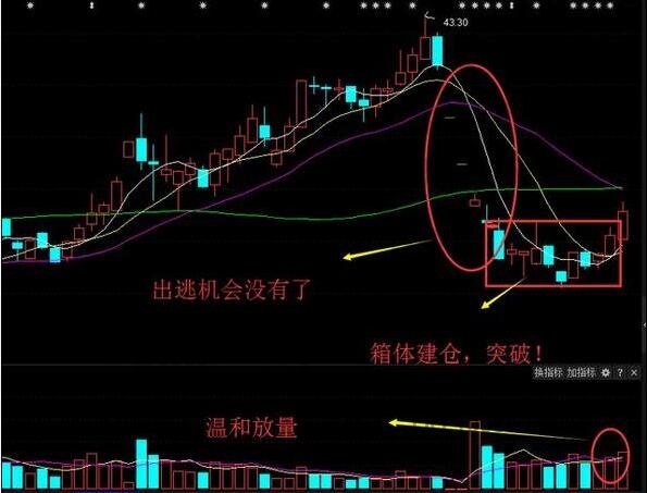 箱體建倉(cāng)